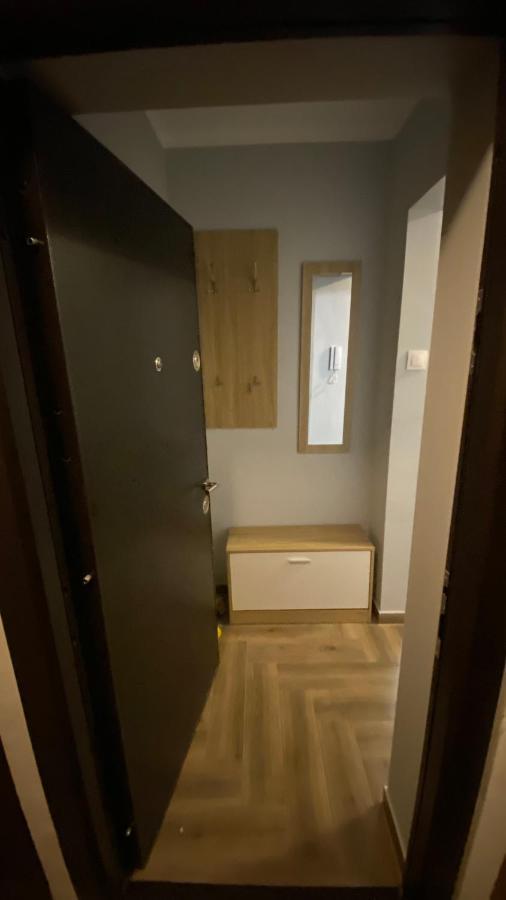 Dacia Apartment ทิมิชัวรา ภายนอก รูปภาพ