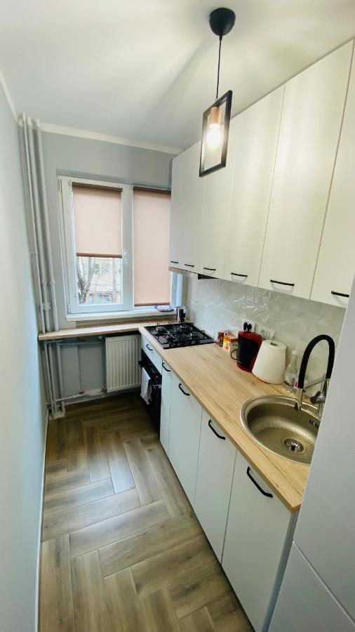 Dacia Apartment ทิมิชัวรา ภายนอก รูปภาพ